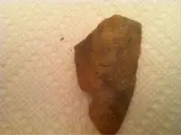 image-3108691684.webp