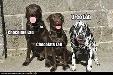 hA7CEDF75.webp