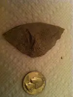 image-1019335213.webp