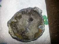 20130221_162437.webp