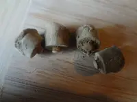 Metal Detecting 2013 109.webp