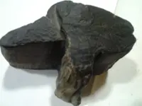 2013-02-20 20.28.20.webp
