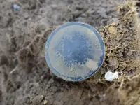 Metal Detecting 2013 127.webp