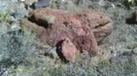 IMAG0378 (2).webp