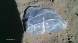 IMAG1262.webp
