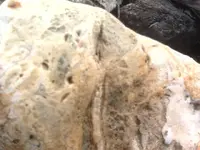 rock 10.webp