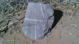 IMAG1263.webp