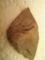 image-84547642.webp
