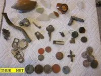 0221NUT.webp