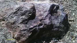 IMAG0390 (2).webp