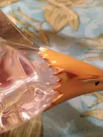 image-1428498244.webp