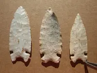 DSCN3246.webp