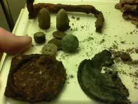 100_0374.webp