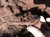 Neues Bild 1.webp