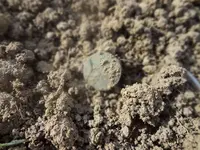 Metal Detecting 2013 140.webp