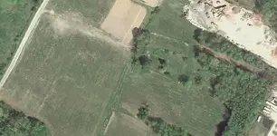 Fields 2.webp