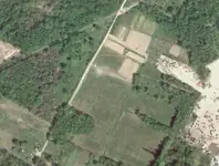 Fields 1.webp