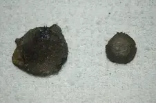 Lead Button & Musket Balls (16).webp