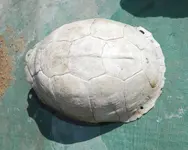 DSCN1697.webp