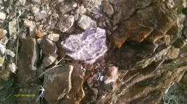 IMAG1102.webp