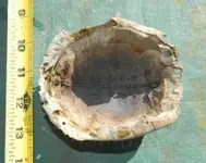 DSCN1700.webp