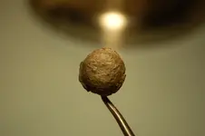 Lead Button & Musket Balls (22).webp