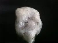image-2202169941.webp