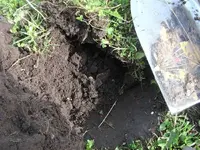 DSCF4794.webp