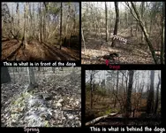 100_0219.webp