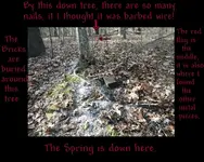 100_0219-001.webp