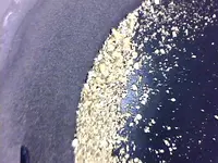 bob's gold.webp