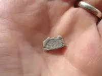 Cut Silver.webp