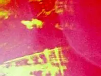 backyard strange hit area 5C-johnu33301.webp