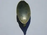 DSCN3606.webp