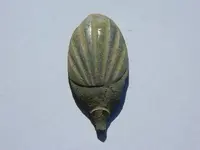 DSCN3608.webp