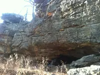 image-970626702.webp