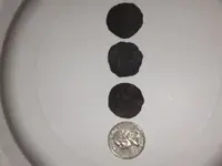 oldcoins.webp