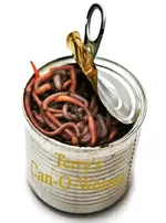 Terryscanoworms.webp