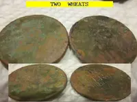 0210WHEATS.webp