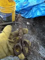 image-695411037.webp
