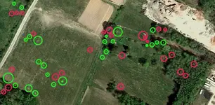 Fields 2-DocBeav.webp