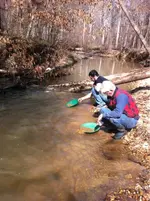 image-311824467.webp