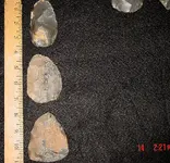 390024_10150532294228890_631362163_n.webp