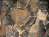 393678_10150532310723890_1056875153_n.webp