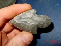 425914_10150637646773890_2011913407_n.webp