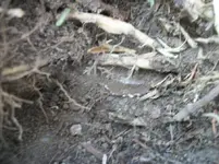 100_2289.webp