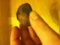image.webp