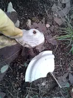 WP_001167.webp