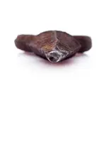 Antique_Iron--3.webp