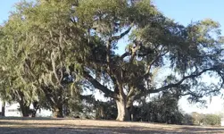 ForumRunner_20130309_142355.webp